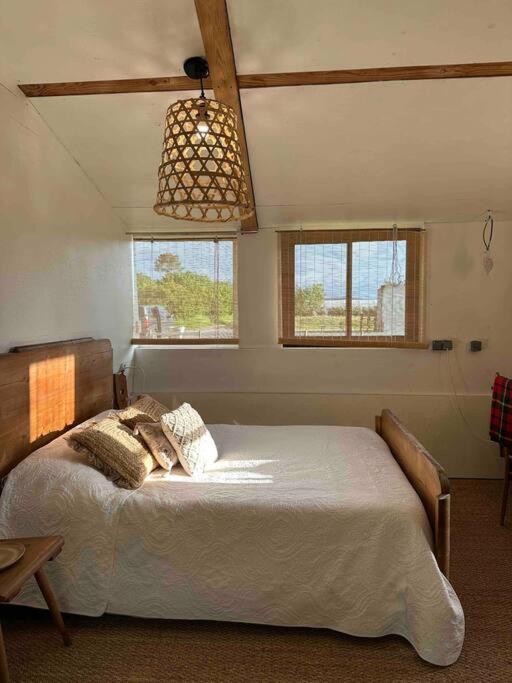 Cosy Cabane Boise Solaire, Balneo Bath Et Toilette Seche A La Ferme Mimizan Luaran gambar
